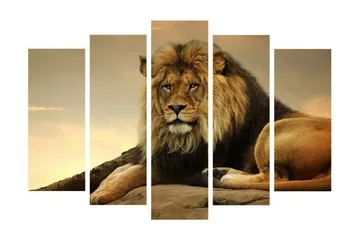 Stort lerretsbilde i 5 deler 105x70 cm - Majestetisk løve hviler på en stein - Gull / Brun / Beige - Interiør - Maleri & posters - Lerretsbilder