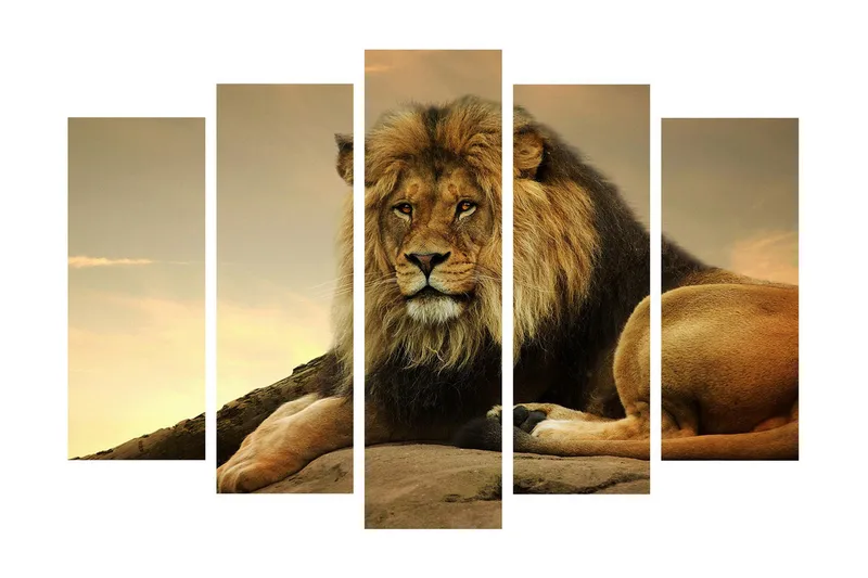 Stort lerretsbilde i 5 deler 105x70 cm - Majestetisk løve hviler på en stein - Gull / Brun / Beige - Interiør - Maleri & posters - Lerretsbilder