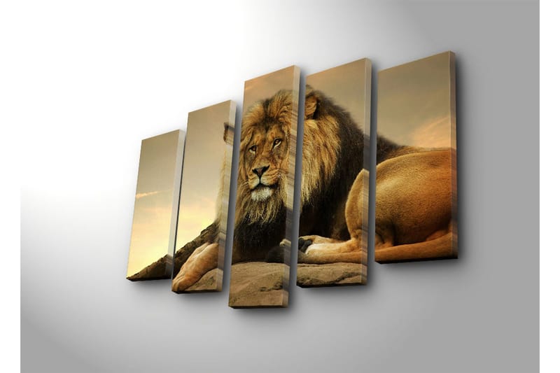Stort lerretsbilde i 5 deler 105x70 cm - Majestetisk løve hviler på en stein - Gull / Brun / Beige - Interiør - Maleri & posters - Lerretsbilder