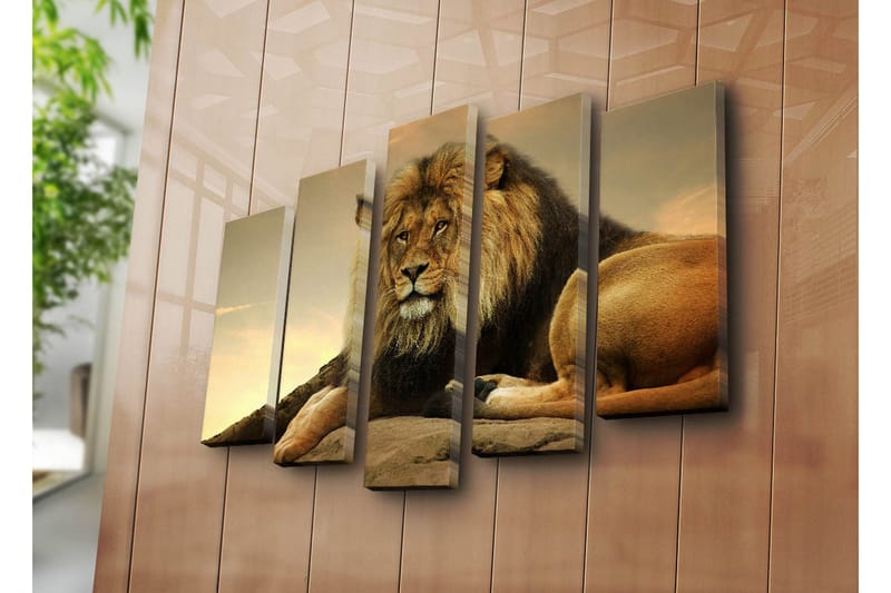 Stort lerretsbilde i 5 deler 105x70 cm - Majestetisk løve hviler på en stein - Gull / Brun / Beige - Interiør - Maleri & posters - Lerretsbilder