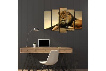 Stort lerretsbilde i 5 deler 105x70 cm - Majestetisk løve hviler på en stein - Gull / Brun / Beige - Interiør - Maleri & posters - Lerretsbilder