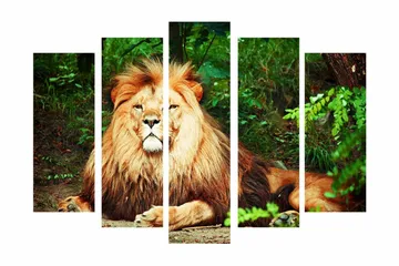 Stort lerretsbilde i 5 deler 105x70 cm - Majestetisk løve med imponerende manke i et naturlig miljø - Gull / Grønn / Brun - Interiør - Maleri & posters - Lerretsbilder