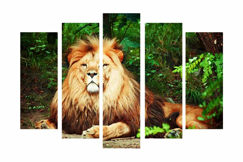 Stort lerretsbilde i 5 deler 105x70 cm - Majestetisk løve med imponerende manke i et naturlig miljø - Gull / Grønn / Brun - Interiør - Maleri & posters - Lerretsbilder