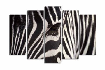 Stort lerretsbilde i 5 deler 105x70 cm - Nærbilde av en sebra med klare svarte og hvite striper - Svart / Hvit - Interiør - Maleri & posters - Lerretsbilder