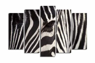 Stort lerretsbilde i 5 deler 105x70 cm - Nærbilde av en sebra med klare svarte og hvite striper - Svart / Hvit - Interiør - Maleri & posters - Lerretsbilder