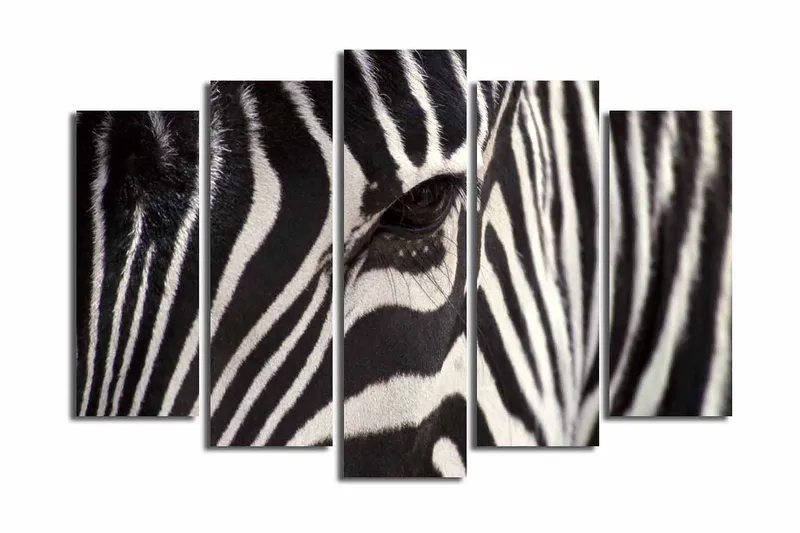 Stort lerretsbilde i 5 deler 105x70 cm - Nærbilde av en sebra med klare svarte og hvite striper - Svart / Hvit - Interiør - Maleri & posters - Lerretsbilder