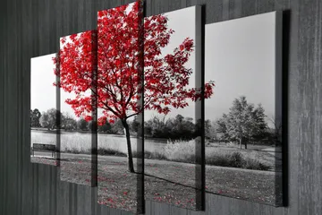 Stort lerretsbilde i 5 deler 105x70 cm - Rød lønn i et svart-hvitt landskapsmiljø - Rød / Svart / Grå - Interiør - Maleri & posters - Lerretsbilder