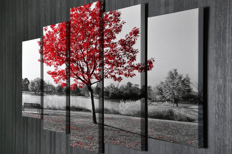 Stort lerretsbilde i 5 deler 105x70 cm - Rød lønn i et svart-hvitt landskapsmiljø - Rød / Svart / Grå - Interiør - Maleri & posters - Lerretsbilder
