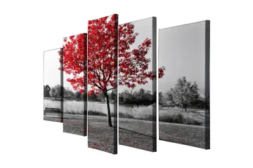 Stort lerretsbilde i 5 deler 105x70 cm - Rød lønn i et svart-hvitt landskapsmiljø - Rød / Svart / Grå - Interiør - Maleri & posters - Lerretsbilder