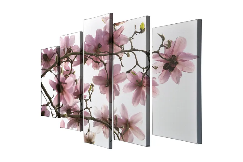 Stort lerretsbilde i 5 deler 105x70 cm - Rosa magnoliablomster på grener - Rosa / Grønn / Brun - Interiør - Maleri & posters - Lerretsbilder
