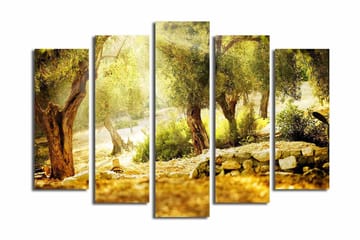 Stort lerretsbilde i 5 deler 105x70 cm - Solbelyst olivenlund med trær og steinmur - Gull / Grønn / Brun - Interiør - Maleri & posters - Lerretsbilder