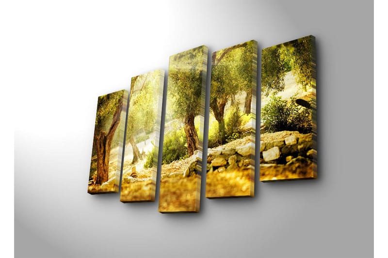 Stort lerretsbilde i 5 deler 105x70 cm - Solbelyst olivenlund med trær og steinmur - Gull / Grønn / Brun - Interiør - Maleri & posters - Lerretsbilder