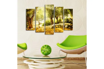 Stort lerretsbilde i 5 deler 105x70 cm - Solbelyst olivenlund med trær og steinmur - Gull / Grønn / Brun - Interiør - Maleri & posters - Lerretsbilder