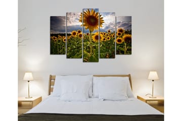 Stort lerretsbilde i 5 deler 105x70 cm - Solfylte solsikker i et blomstrende felt - Gul / Grønn / Brun - Interiør - Maleri & posters - Lerretsbilder