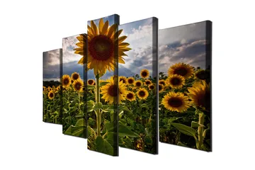 Stort lerretsbilde i 5 deler 105x70 cm - Solfylte solsikker i et blomstrende felt - Gul / Grønn / Brun - Interiør - Maleri & posters - Lerretsbilder