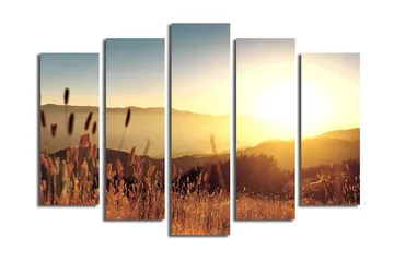 Stort lerretsbilde i 5 deler 105x70 cm - Solnedgang over bølgende landskap med gresstrå i forgrunnen - Gull / Oransje / Blå - Interiør - Maleri & posters - Lerretsbilder