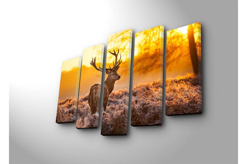 Stort lerretsbilde i 5 deler 105x70 cm - Statlig elg i soloppgangens gylne lys - Gull / Brun / Beige - Interiør - Maleri & posters - Lerretsbilder