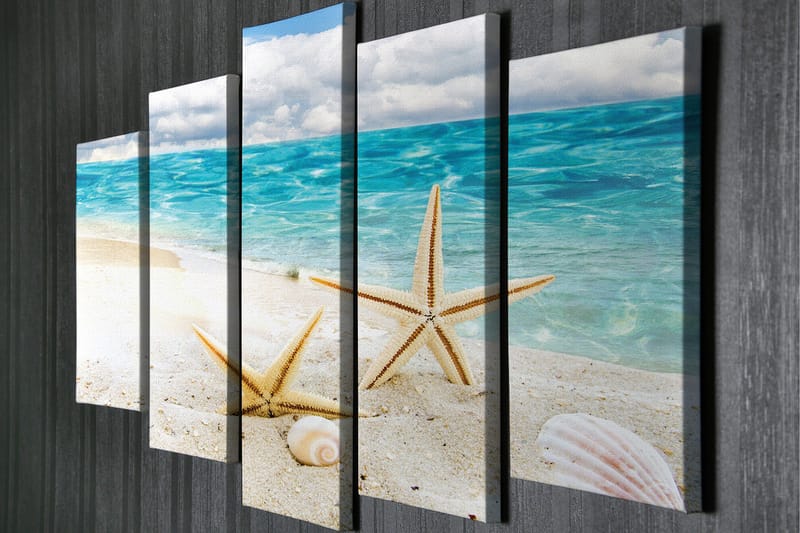 Stort lerretsbilde i 5 deler 105x70 cm - Stjerneformede skjell på en sandstrand ved sjøen - Blå / Beige / Hvit - Interiør - Maleri & posters - Lerretsbilder