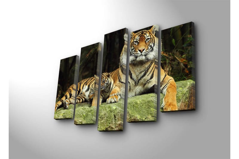 Stort lerretsbilde i 5 deler 105x70 cm - Stolt tiger med unge hvilende på en stein - Oransje / Svart / Beige - Interiør - Maleri & posters - Lerretsbilder