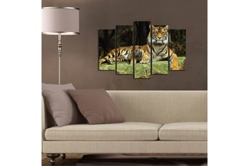 Stort lerretsbilde i 5 deler 105x70 cm - Stolt tiger med unge hvilende på en stein - Oransje / Svart / Beige - Interiør - Maleri & posters - Lerretsbilder