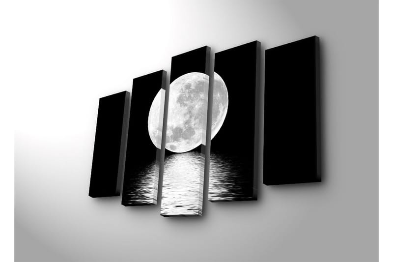 Stort lerretsbilde i 5 deler 105x70 cm - Storslått fullmåne speilet i vannoverflaten - Hvit / Svart - Interiør - Maleri & posters - Lerretsbilder