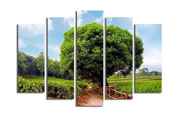 Stort lerretsbilde i 5 deler 105x70 cm - Storslått grønt landskap med et stort tre ved en grusvei - Grønn / Brun / Blå - Interiør - Maleri & posters - Lerretsbilder