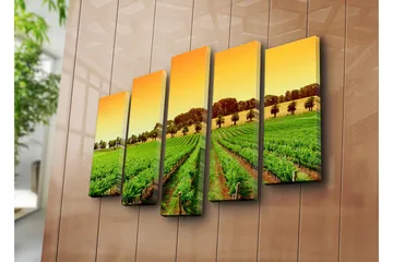 Stort lerretsbilde i 5 deler 105x70 cm - Vakker vingård under en solrik himmel - Grønn / Oransje / Gul - Interiør - Maleri & posters - Lerretsbilder