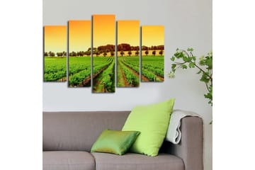Stort lerretsbilde i 5 deler 105x70 cm - Vakker vingård under en solrik himmel - Grønn / Oransje / Gul - Interiør - Maleri & posters - Lerretsbilder