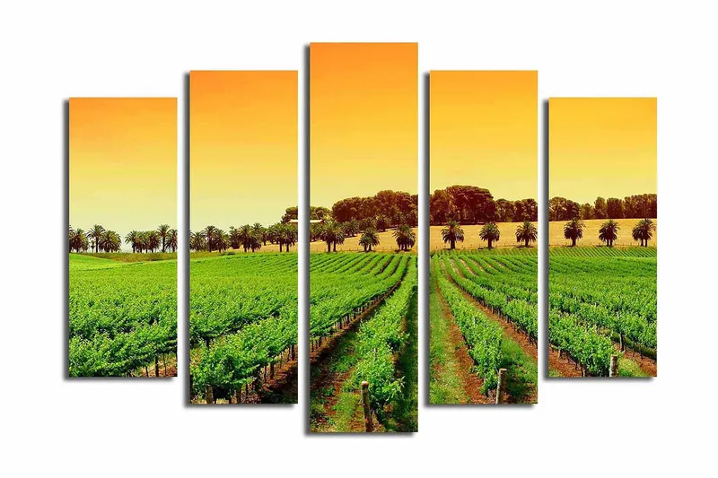 Stort lerretsbilde i 5 deler 105x70 cm - Vakker vingård under en solrik himmel - Grønn / Oransje / Gul - Interiør - Maleri & posters - Lerretsbilder