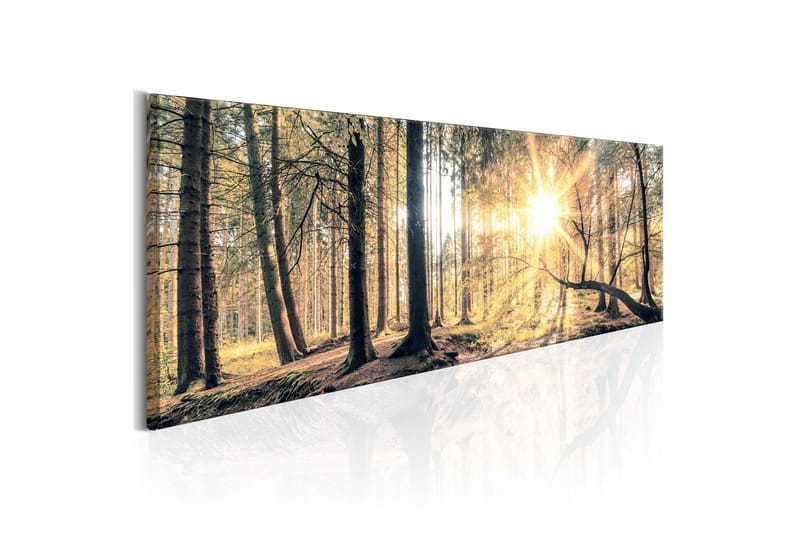 Tavla Autumn Retreat VALUE_MISSING_3 135x45