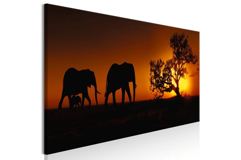 Tavla Elephant Family (Orange) 135x45 - Interiør - Maleri & posters - Lerretsbilder