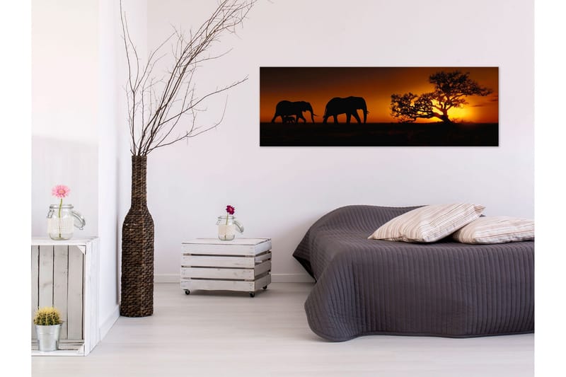 Tavla Elephant Family (Orange) 150x50