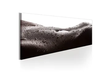 Tavla Erotic Landscape 135x45 - Interiør - Maleri & posters - Lerretsbilder