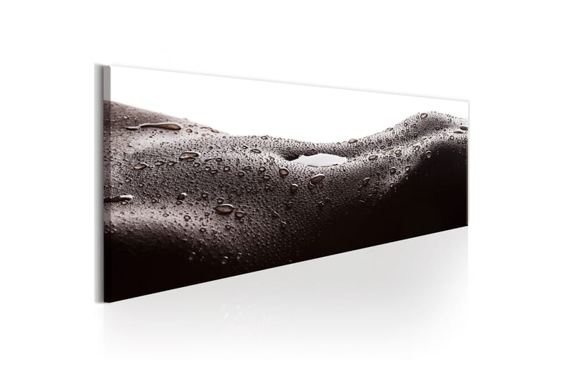 Tavla Erotic Landscape 135x45 - Interiør - Maleri & posters - Lerretsbilder