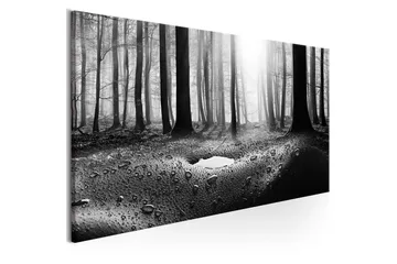 Tavla Forest after Rain (1 Part) Narrow 150x50 - Interiør - Maleri & posters - Lerretsbilder