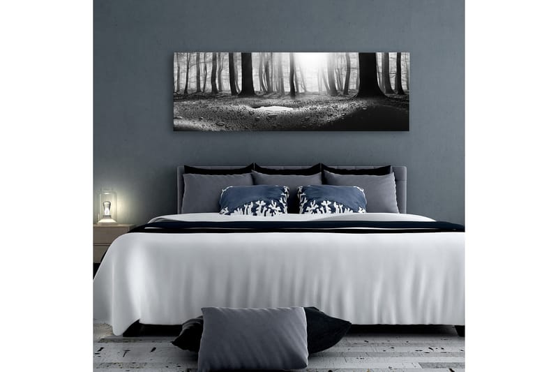 Tavla Forest after Rain (1 Part) Narrow 150x50