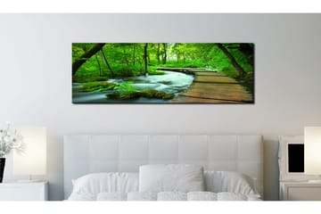 Tavla Forest Broadwalk 135x45 cm - Interiør - Maleri & posters - Lerretsbilder