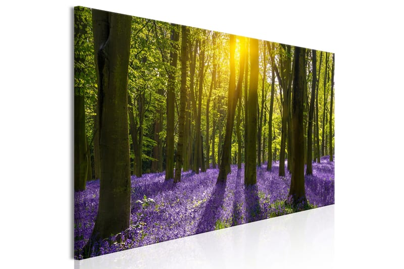 Tavla Hyacinth Field (1 Part) Narrow 135x45 - Interiør - Maleri & posters - Lerretsbilder