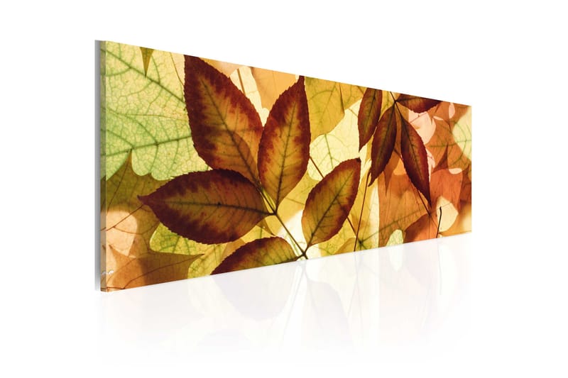 Tavla Kollage Löv 135x45 cm