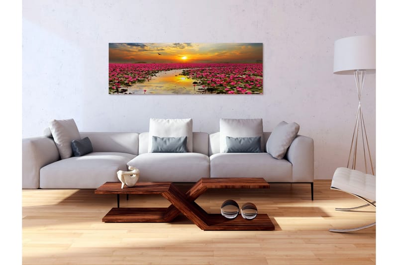 Tavla Lily Field (1 Part) Narrow VALUE_MISSING_2 135x45