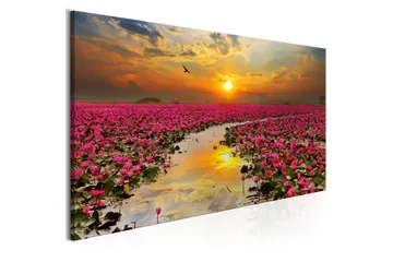 Tavla Lily Field (1 Part) Narrow VALUE_MISSING_2 135x45 - Interiør - Maleri & posters - Lerretsbilder