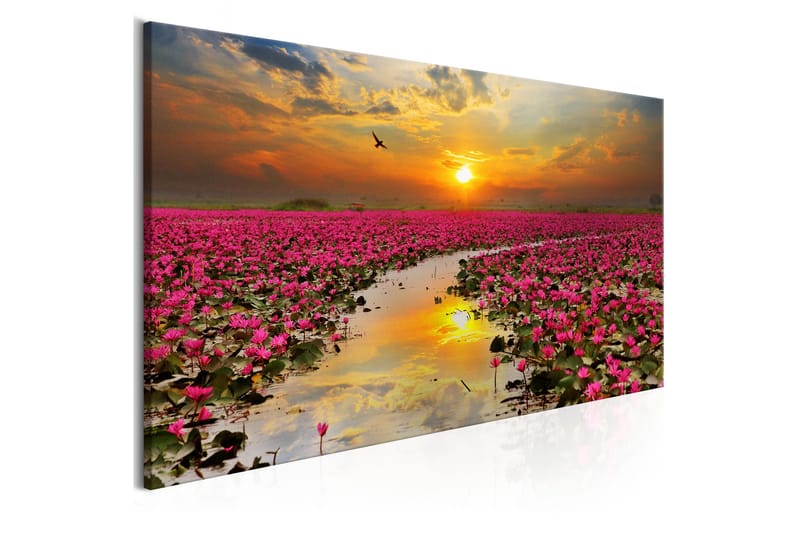 Tavla Lily Field (1 Part) Narrow VALUE_MISSING_2 135x45 - Interiør - Maleri & posters - Lerretsbilder