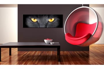 Tavla Look Into My Eyes 135x45 cm - Interiør - Maleri & posters - Lerretsbilder