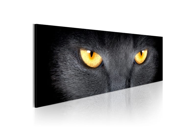 Tavla Look Into My Eyes 135x45 cm