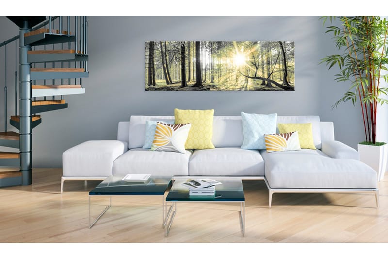 Tavla Morning Forest VALUE_MISSING_2 120x40 - Interiør - Maleri & posters - Lerretsbilder