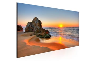 Tavla New Day (1 Part) Narrow VALUE_MISSING_2 120x40 - Interiør - Maleri & posters - Lerretsbilder