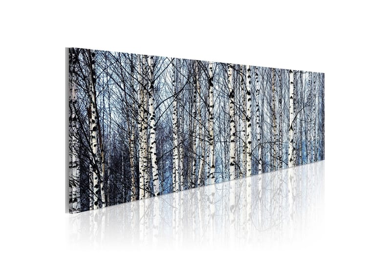 Tavla Vita Björkar 135x45 cm