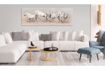 Tavla Wild Beauty VALUE_MISSING_2 120x40 - Interiør - Maleri & posters - Lerretsbilder