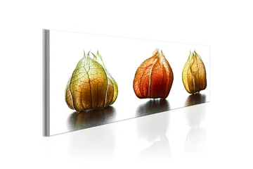 Tavla Winter Cherry 135x45 - Interiør - Maleri & posters - Lerretsbilder