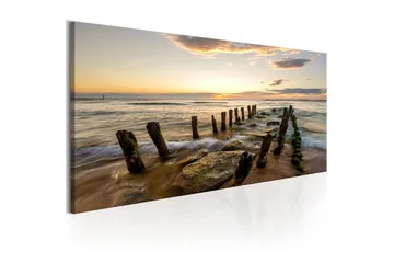 Tavla Wooden Breakwaters 135x45 - Interiør - Maleri & posters - Lerretsbilder